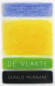 De vlakte voorzijde