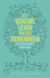 Het geheime leven van het tienerbrein