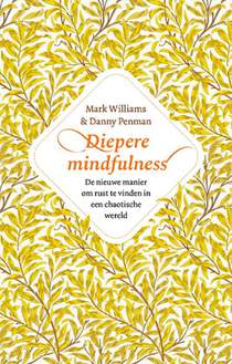 Diepere Mindfulness