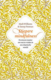 Diepere Mindfulness