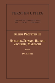 De Kleine Profeten III