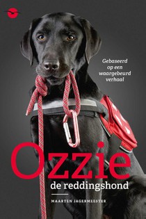 Ozzie, de reddingshond voorzijde