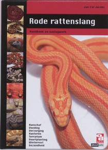 Rode rattenslang voorzijde