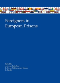 Foreigners in European Prisons