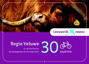 Regio Veluwe