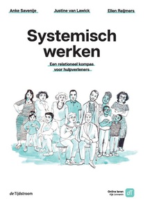 Systemisch werken