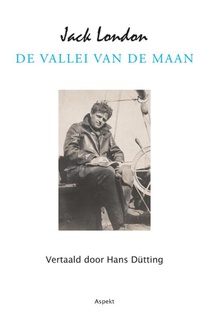 De vallei van de maan