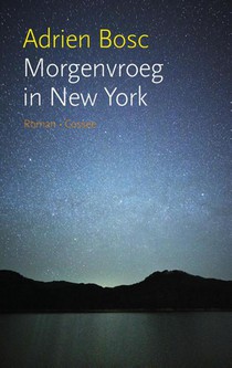 Morgenvroeg in New York voorzijde