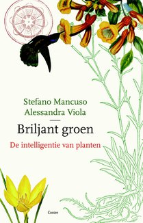 Briljant groen voorzijde