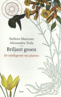 Briljant groen voorzijde