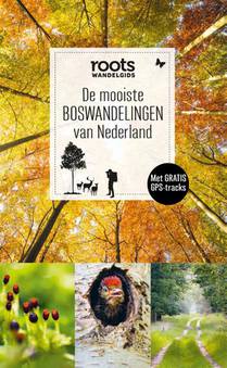 De mooiste boswandelingen van Nederland