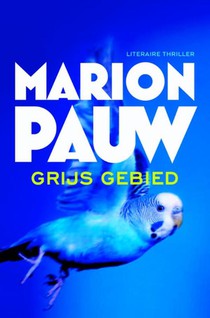 Grijs gebied