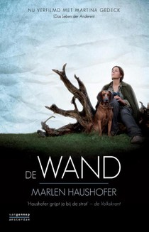 De wand voorzijde