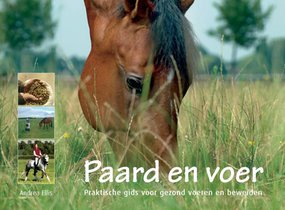 Paard en voer