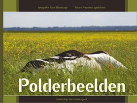 Polderbeelden voorzijde