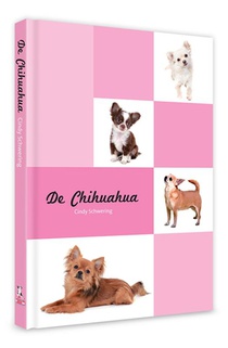 De Chihuahua voorzijde