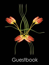Guestbook Double Dutch Tulips