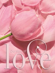 Gastenboek bruiloft LOVE luxe hardcover voor 250 gasten