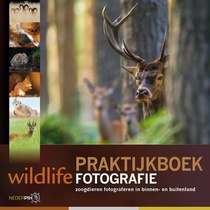 Praktijkboek wildlife fotografie voorzijde