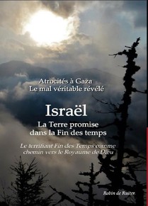 Atrocités à Gaza - Le mal véritable révélé