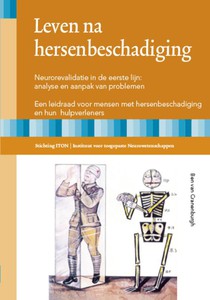 Leven na hersenbeschadiging