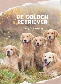 De Golden Retriever voorzijde