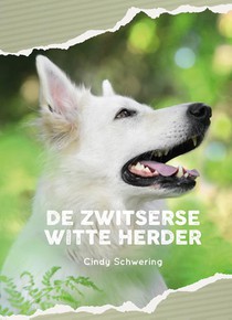 De Zwitserse witte herder voorzijde