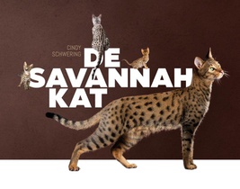 De Savannah kat voorzijde