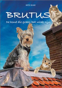 Brutus voorzijde