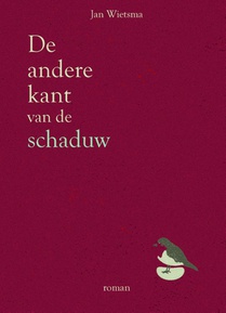 De andere kant van de schaduw