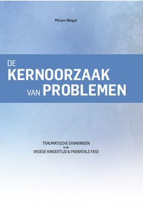 De kernoorzaak van problemen