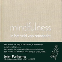mindfulness in het veld van aandacht