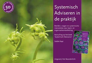 Systemisch Adviseren in de praktijk