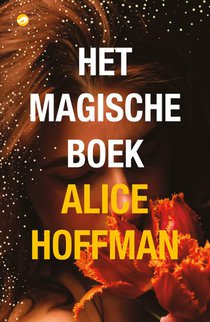 Het magische boek