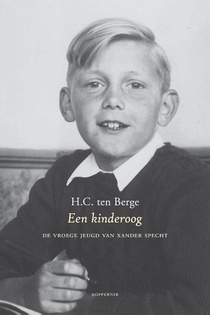 Een kinderoog