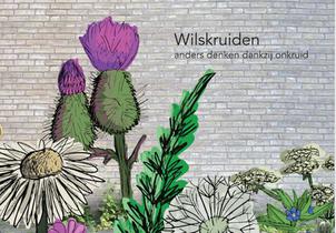 Wilskruiden