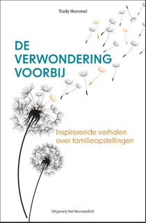 De verwondering voorbij