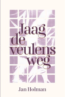 Jaag de veulens weg