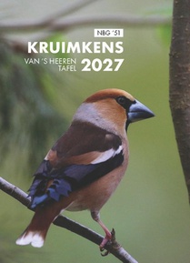 Kruimkens