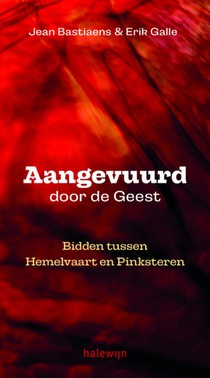 Aangevuurd door de geest voorzijde