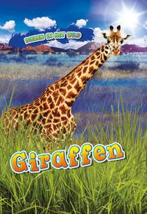 Giraffen voorzijde