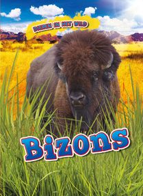 Bizons