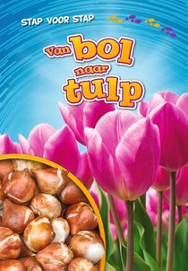 Van bol naar tulp