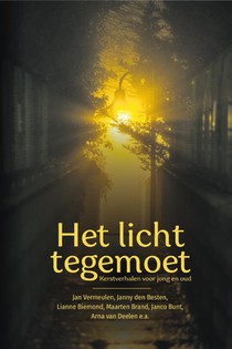 Het licht tegemoet