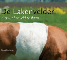 De lakenvelder