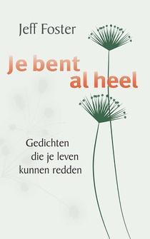 Je bent al heel