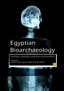 Egyptian bioarchaeology