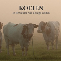 Koeien in de weiden van de lage landen