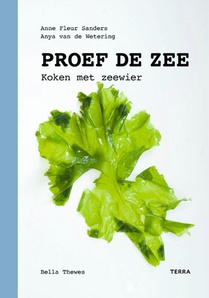 Proef de zee