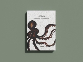 OCEAN the gloobles pocket guide on the UK